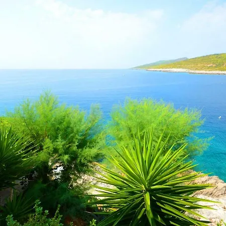 Ranko Apartament Zavalatica