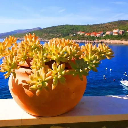 Ranko Apartament Zavalatica